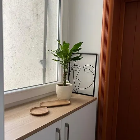 Lägenhet Ema Novi Sad